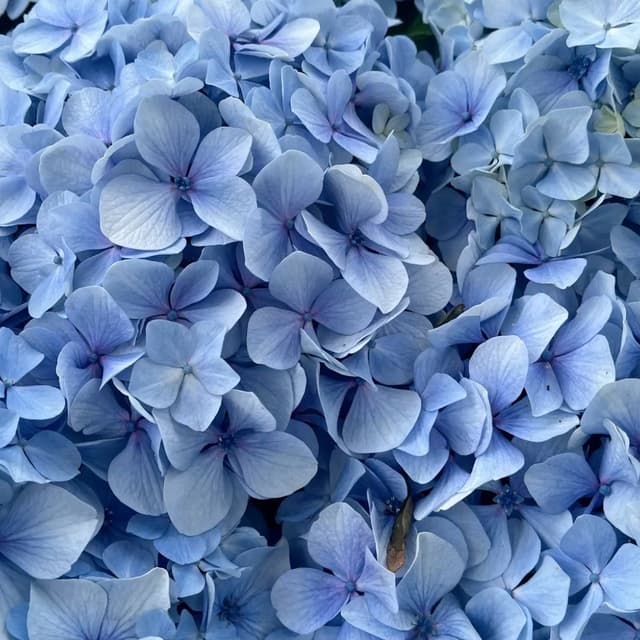 Ready for Spring <3 at Malika Esthetics Body Sugaring & Skin Haus in Sparks, NV